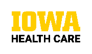 University of Iowa Logo